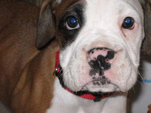 I'm Ready For My Closeup!