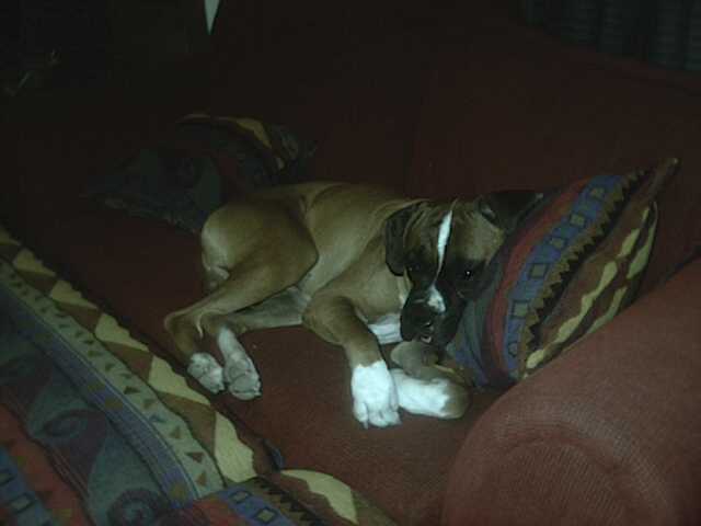 I'm seepin'