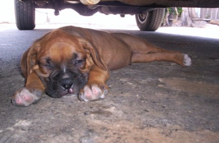IM SLEEPING DONT BOTHER ME..
