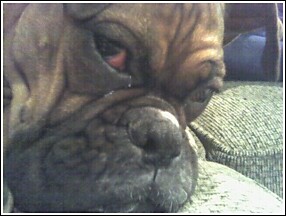 I'm sleeping!