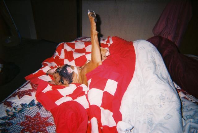 I'm snuggled in
