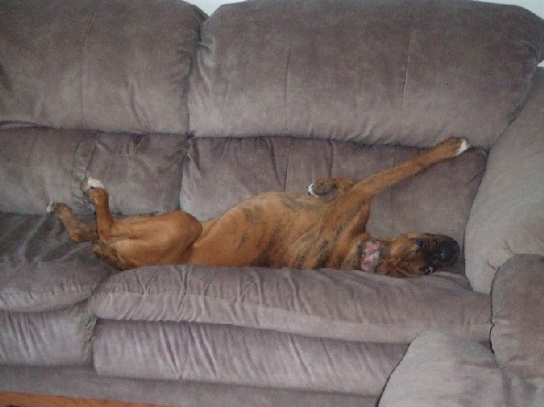 I'm so comfy!