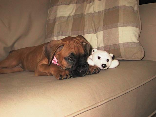 I'm so cute!