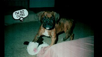 I'm So Cute!