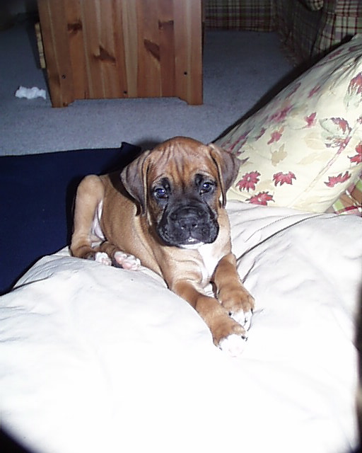 I'm so cute