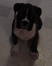 I'm So cute!
