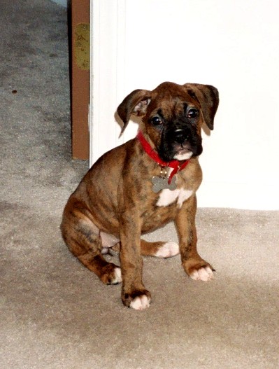 I'm so cute!