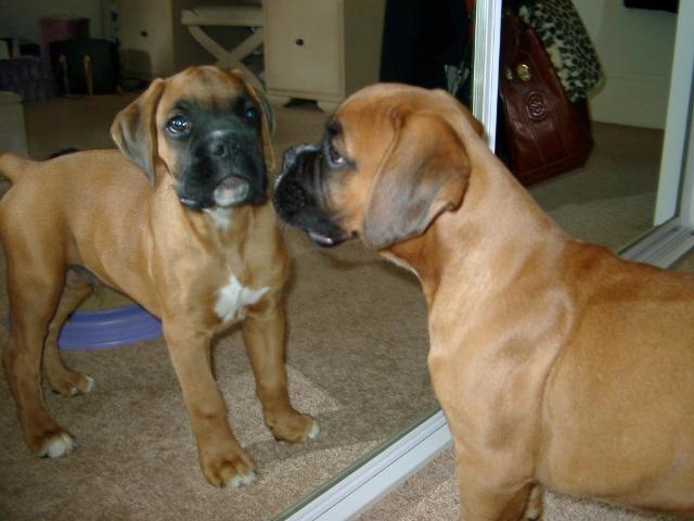 I'm so handsome !