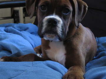 I'm so handsome