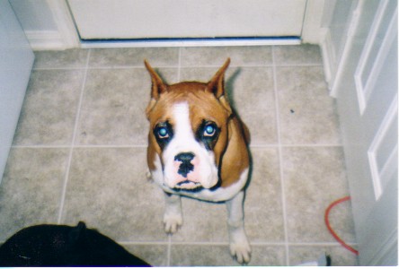 I'm so innocent.