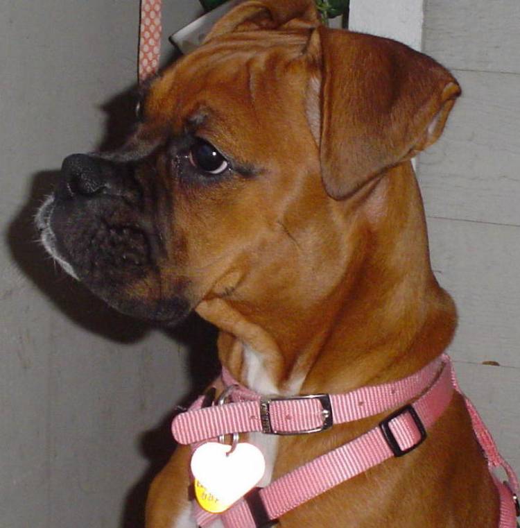 Im so sweet and Innocent!!!