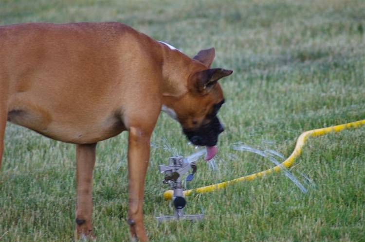 I'm SO thirsty