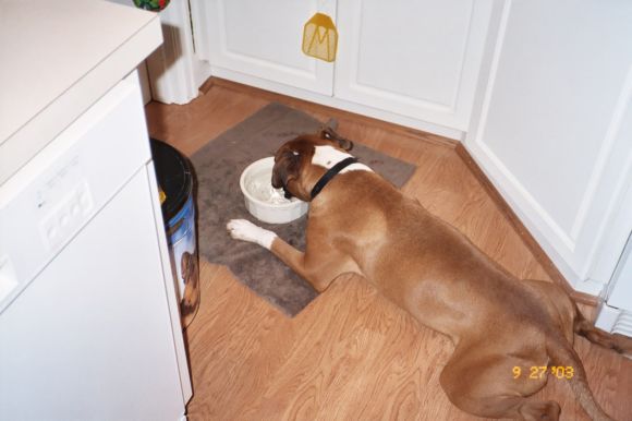 I'm so tired and thirsty!!