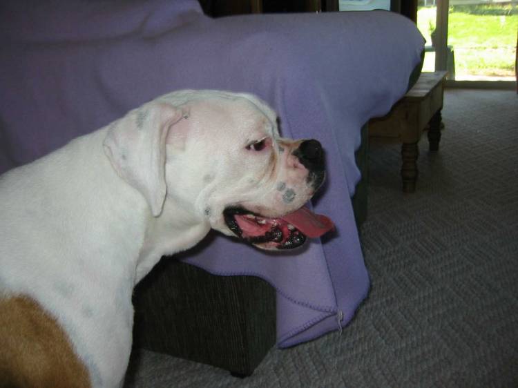 I'm so tired!