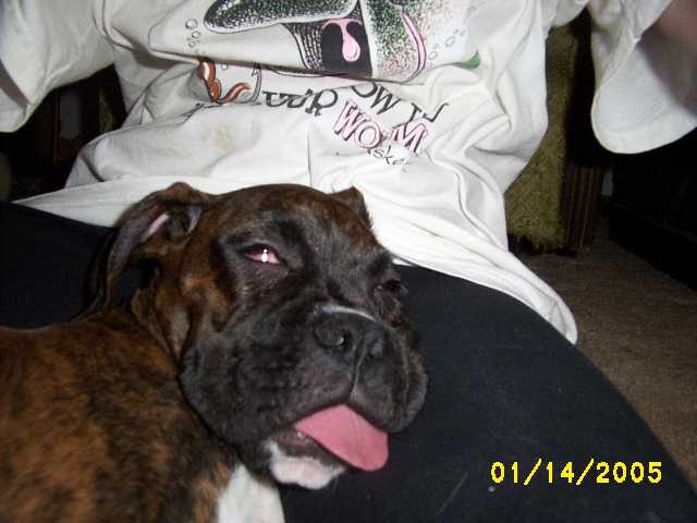 I'm Sooo Wasted