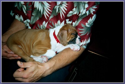 I'm Soooo Sleepy