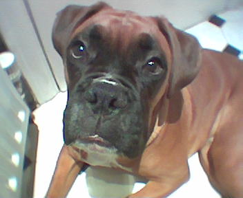 I'm sooooo handsome!