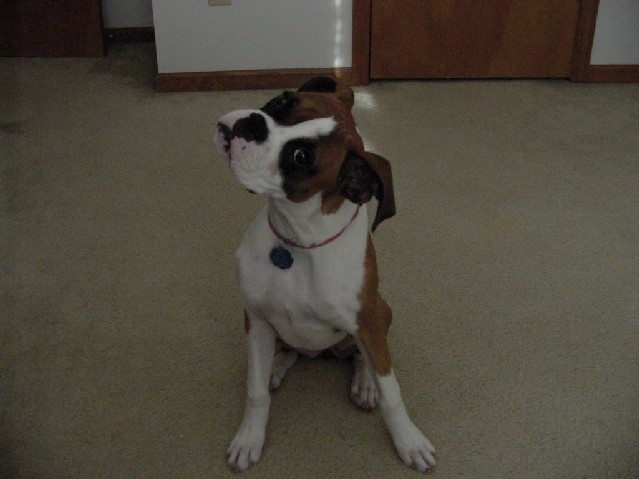 I'm such a curious little girl!