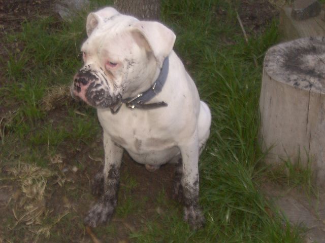 I'm such a good boy