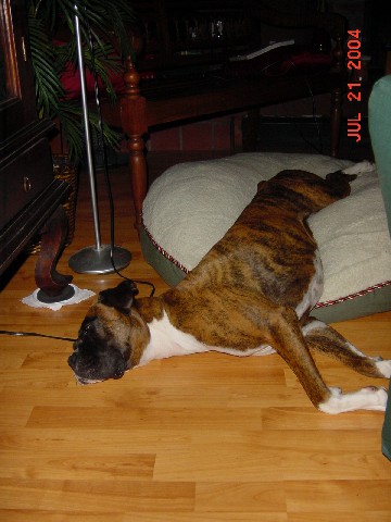 I'm sure it feels more comfortable than it looks