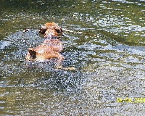 I'm swimming