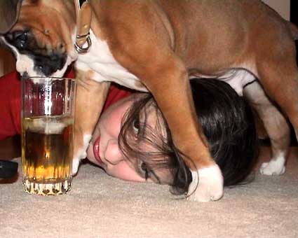 I'm the alpha dog and I drink your apple juice!