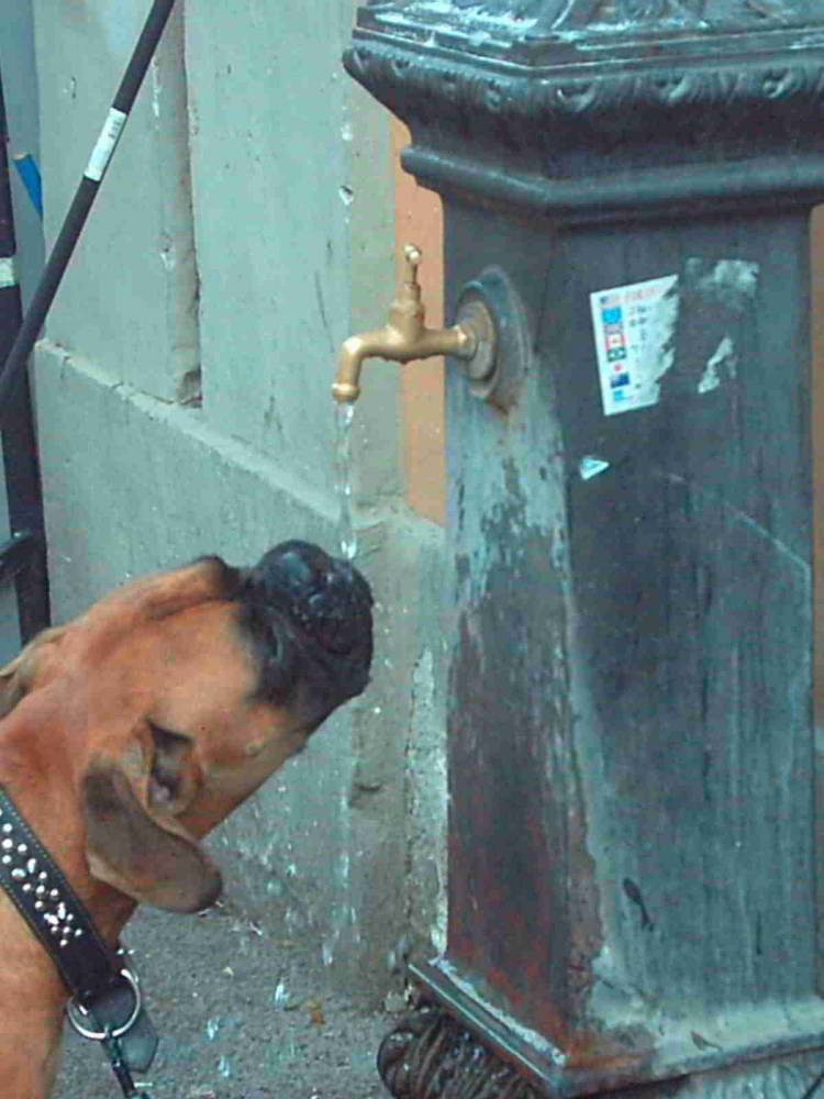 IM THIRSTY DAD!