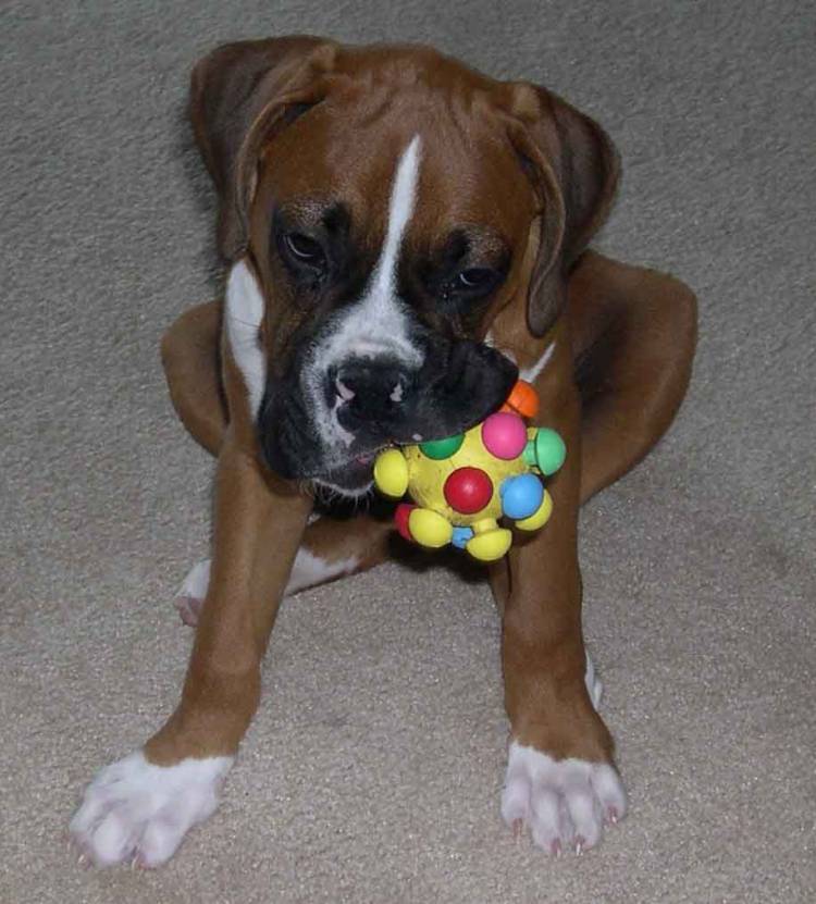 I'm tired...can we end the game now!