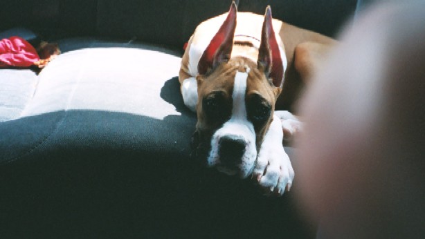 I'm tired!