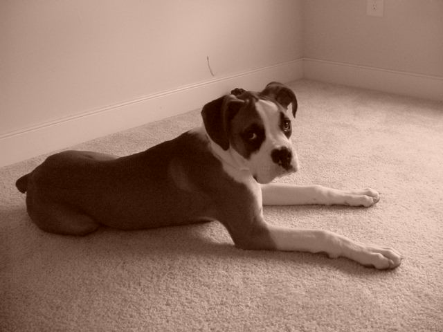 I'm to good lookin for my daddy's camera
