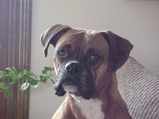 I'm too sexy for the camera...