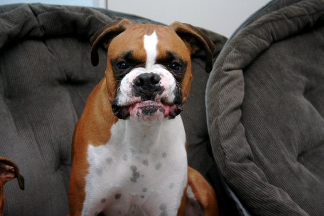 I'm tough !