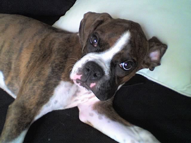 I'm trying to sleep!