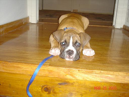 I'm waiting for someone to pick me up!