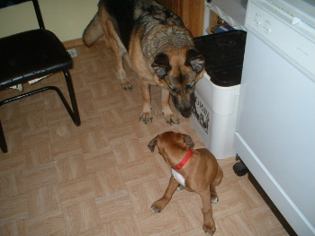 Im watchin you..leave my bum alone