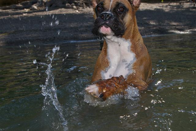 I'ma gonna get you!