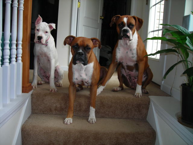 image00011