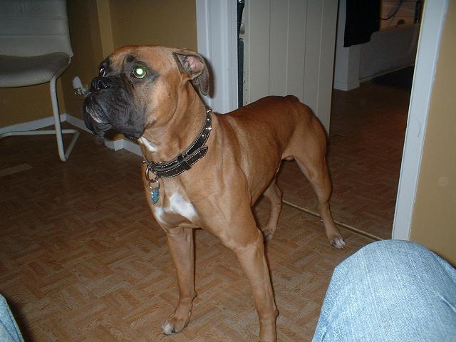 Imma big boy!