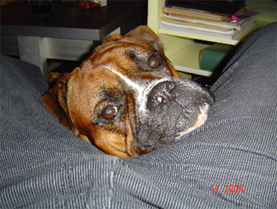 in between Baris's legs