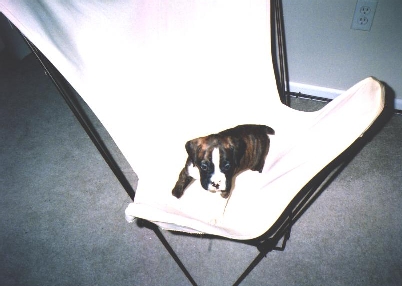 in butterfly chair