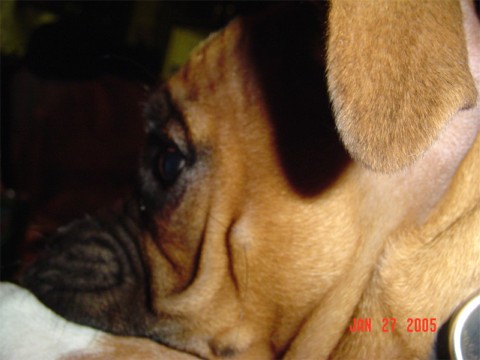 In Deep Thought