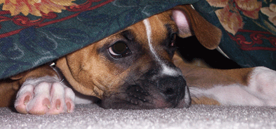 In Hiding Spot