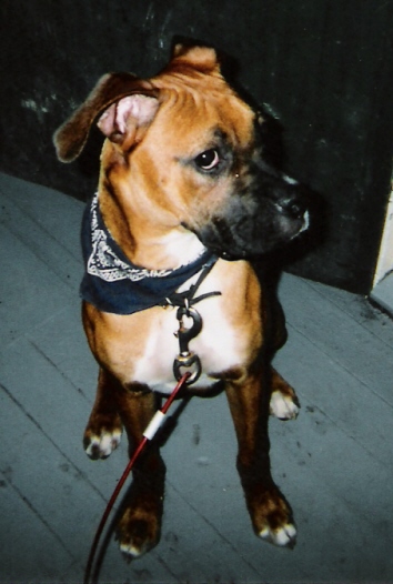 In his Bandana