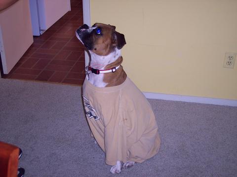 in his dad's tshirt