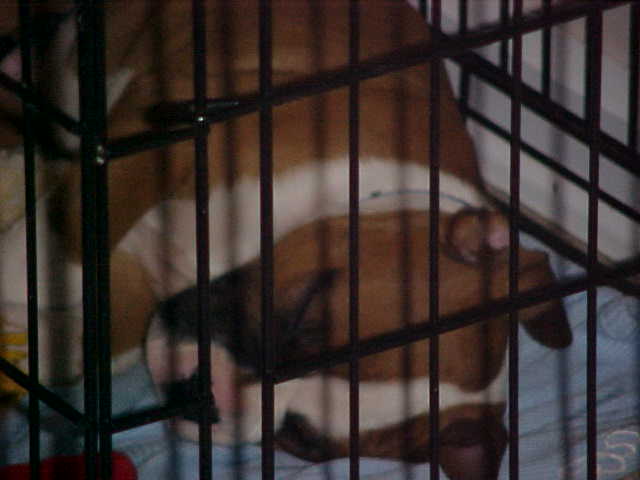 In Jail