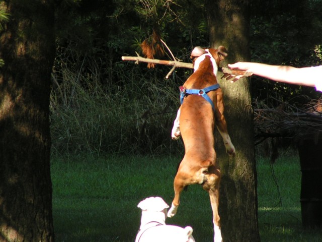 In the air