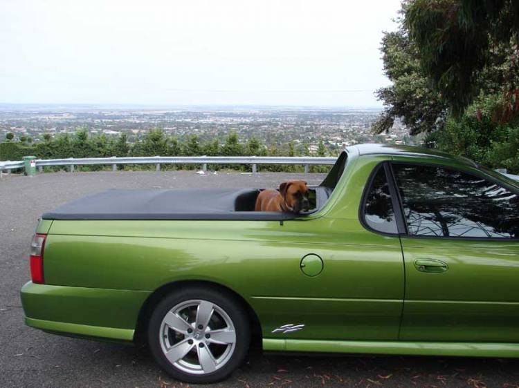 In the back of Dad's ute.