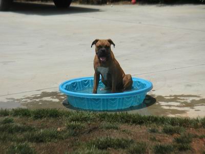 In the pool