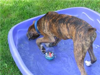 In the pool!!