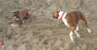 in the sand